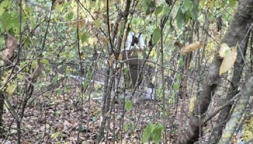 Вибух дрона в Молдові: що сталося в ніч на 11 жовтня біля Джамени